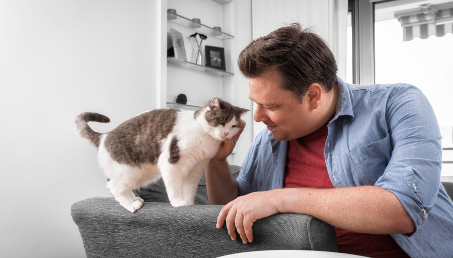 Un hombre acariciando la cara de su gato mientras este está parado en el brazo de un sofá