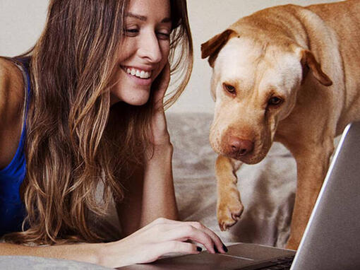Mujer y perro en el ordenador portátil